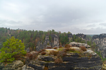 Autumn landscape overlooking forest and rocks. Czech Saxony. Cloudy day. National park.