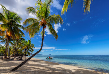 Naklejka na ściany i meble Tropical beach with palm trees and turquoise sea in Mauritius island.
