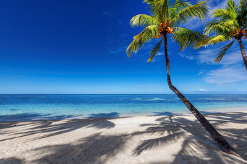 Paradise tropical beach with white sand and coco palms. Summer vacation and tropical beach concept.