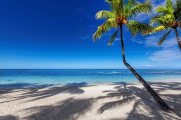 Photo sur Plexiglas Le Morne, Maurice Paradise tropical beach with white sand and coco palms. Summer vacation and tropical beach concept.