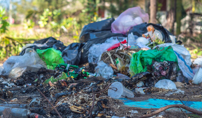 Real nature life climate crisis, land near forest park pollution. Dirty ground, throwing outdoor plastic litter waste, need environmental protection. Problem of garbage caused by man made