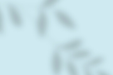 Leave shadow diagonal on pastell blue empty background