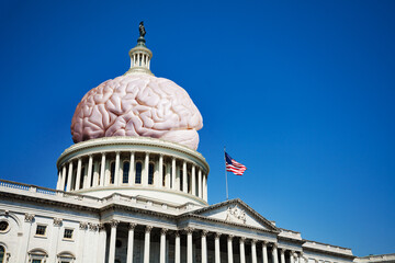 Obraz premium United States capitol is country brain concept