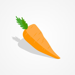 Flat design carrot illustration on isolated background