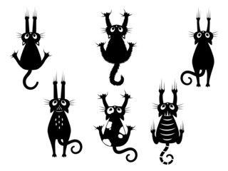 Set of black cats scratching the wall. Collection of silhouettes of funny kitten climbing the wall. Set of peeking cat. Vector illustration of a pet for kids. Tattoo.