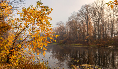 Obraz premium Trees painted in autumn colors are reflected in the waters of the river. Nice autumn weather.