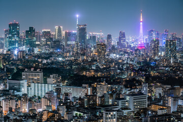 Fototapeta na wymiar 東京タワーと夜景