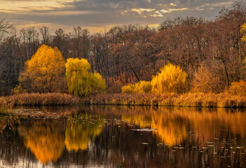 Trees painted in autumn colors are reflected in the waters of the river. Nice autumn weather.