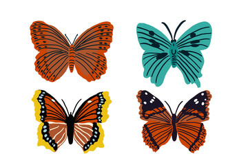 butterflies and insects collection vector illustration