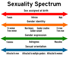sexuality spectrum