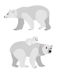 White bears. A bear with a cub. vector. 