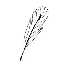 Hand drawn bird feather on a white isolated background. Doodle, simple outline illustration. It can be used for decoration of textile, paper and other surfaces.