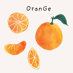 Orange citrus fruit watercolor illustration set. Painterly watercolor texture and ink drawing elements. Hand drawn and hand painted