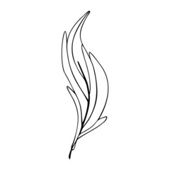 Hand drawn bird feather on a white isolated background. Doodle, simple outline illustration. It can be used for decoration of textile, paper and other surfaces.