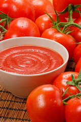Tomato cream dish on fresh tomatoes background.
