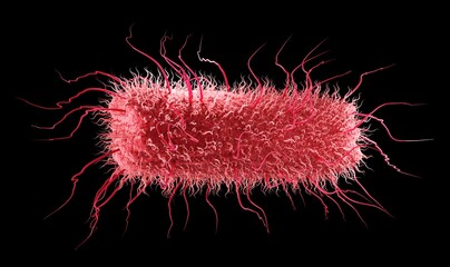 Escherichia coli, this rod-shaped E.coli bacteria or salmonella with peritrichous flagella can cause acute urinary tract infections, abdominal cramps or typhoid fever. 3d graphic