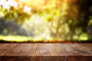 Empty rustic table in front of countryside background. product display and picnic concept