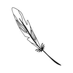 Hand drawn bird feather on a white isolated background. Doodle, simple outline illustration. It can be used for decoration of textile, paper and other surfaces.