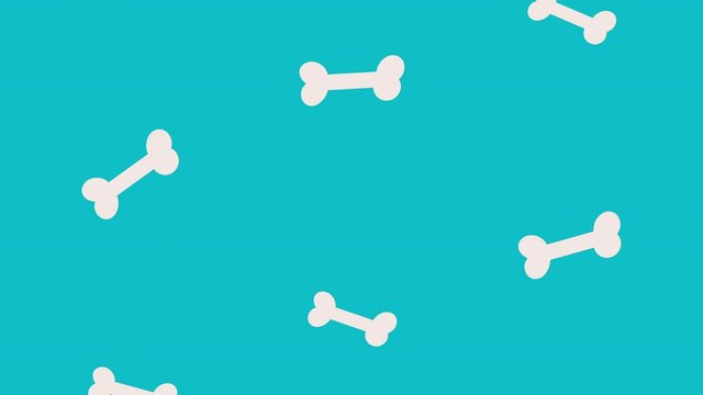 bones pets food pattern animation