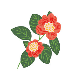 flowers botanical vector illustration