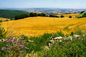 Fototapeta premium Landscape in Campobasso province, Molise, Italy