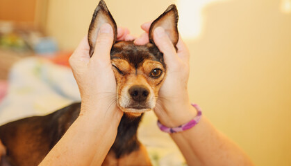 Fototapete bei efototapeten.de bestellen   