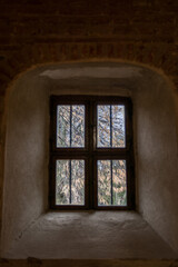 Fototapeta na wymiar Old Closed Wooden Window. View Of A Park Through A Window.