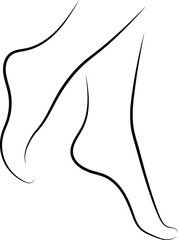Ladies legs vector.  Woman legs vector silhouettes. Female legs drawing.