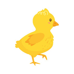 Cute happy yellow chick. Side view. Vector