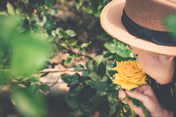 asian woman in rose flower plantation.