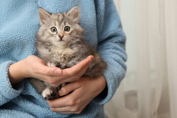 Woman holding cute fluffy kitten at home, closeup. Space for text