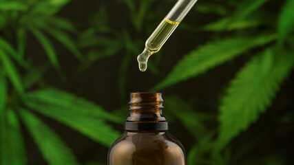 CBD Hemp oil droplet with medical cannabis marijuana in background. Alternative medicine.