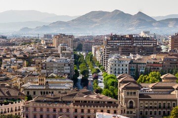 Fototapeta premium Vista aerea de avenida principal de ciudad con arboles y edificios