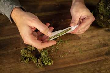 Man hands making a marijuana joint, rolling in a cigarette paper, a ground dried cannabis bud.