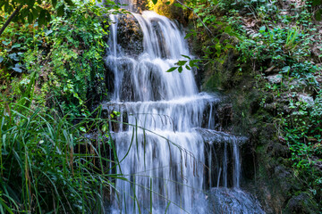 Fototapeta na wymiar Cascada de agua en bosque verde