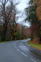 Fototapeta premium El Otoño en las Rutas de Francia le dan su color rojo