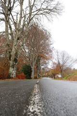 Obraz premium El Otoño en las Rutas de Francia le dan su color rojo