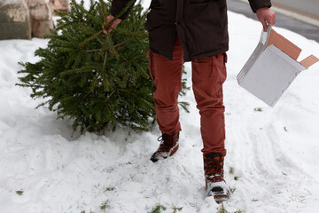 Old Christmas tree recycling, a man carrying a green pine in the trash after Christmas and New year...