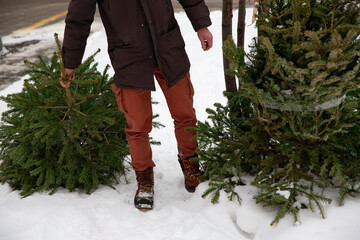 Old Christmas tree recycling, a man carrying a green pine in the trash after Christmas and New year holiday.