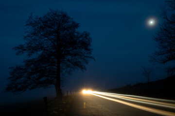 Bare tree at full moon on a winding narrow country road in Iserlohn Sauerland Germany on a foggy winter evening blue hour. Cars with bright flash lights passing. Longtime exposure with light traces.