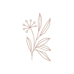 Abstract line art dandelion with stem and leaves floral blossom logo vector illustration