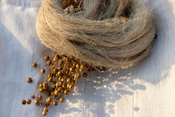 Fibers of natural uncolored flax, tow. Sheaf of dry flax with seeds. Linen canvas. Growing demand for natural fibers.
