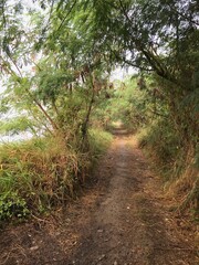 Village road near the river banks