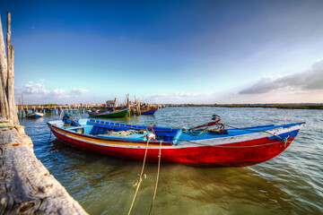 Colorful Fishing Boat at Porto Palafitico, Carrasqueira, Portugal