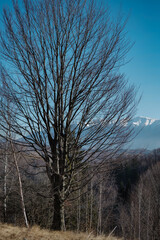 Autumn landscape at the mountains on a sunny day