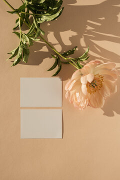 Blank paper card with copy space, peony flower with sunlight shadows on peach background. Top view, flat lay minimalist aesthetic luxury bohemian business branding concept
