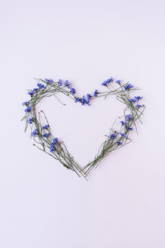 Heart symbol made of blue cornflowers on white background. Minimalist flat lay, top view flowers composition. Valentine's Day, Mother's Day holiday concept