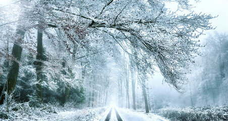 Footpath in snow leading into a scenic forest winter landscape, framed with the branches of a beautiful tree