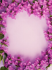 Purple flowers frame. Postcard with flowering plants. Spring or summer romantic composition. Free space for text.