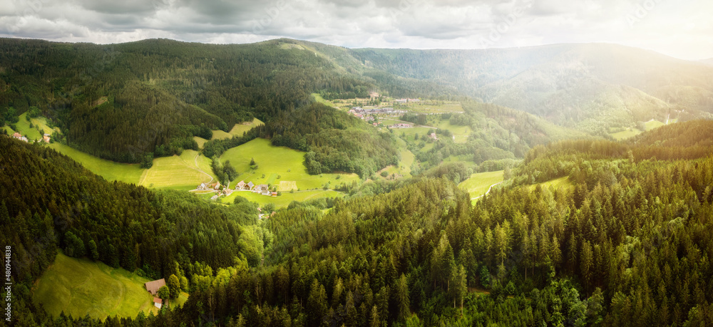 Wall mural Scenic aerial landscape with forests and meadows on hills and meadows. Bright rays of soft light beautifully illuminate the scene from the side